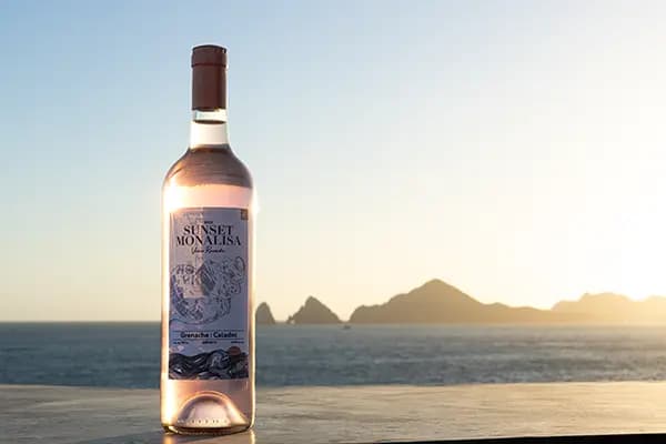 The world of wine at Sunset Monalisa