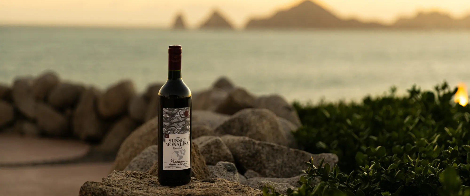 La creciente cultura del vino mexicano